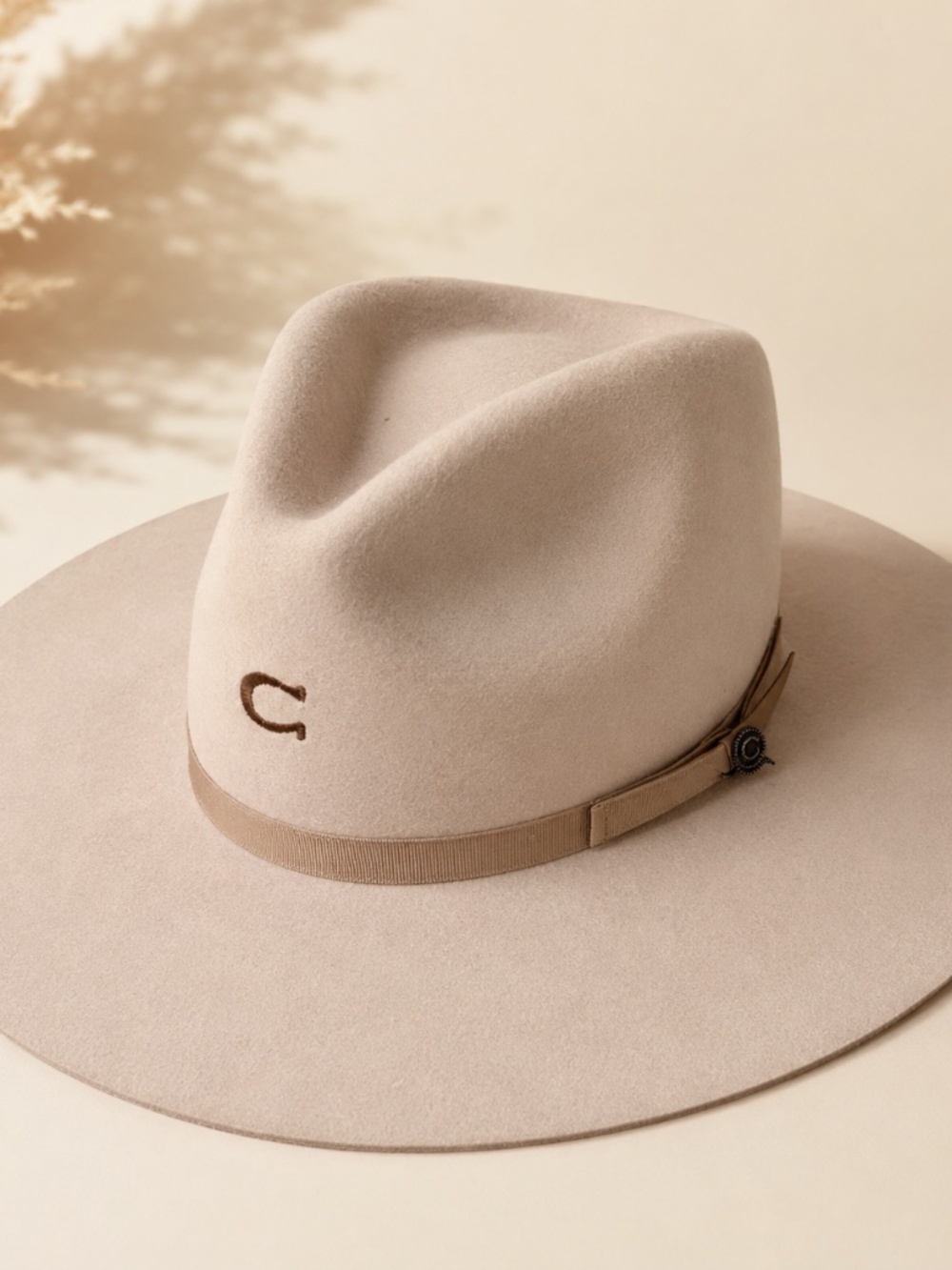Charlie 1 Horse Desert Drifter Fashion Hat in Bone